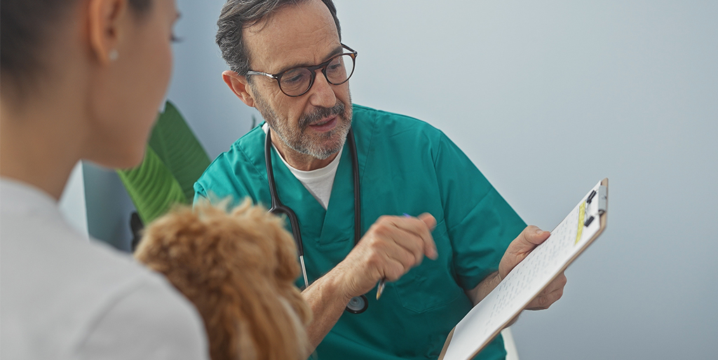 FIVP voices vets' concerns at London Vet Show